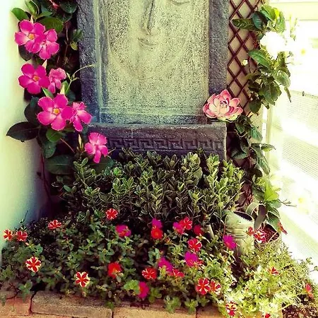 Sunhouse *